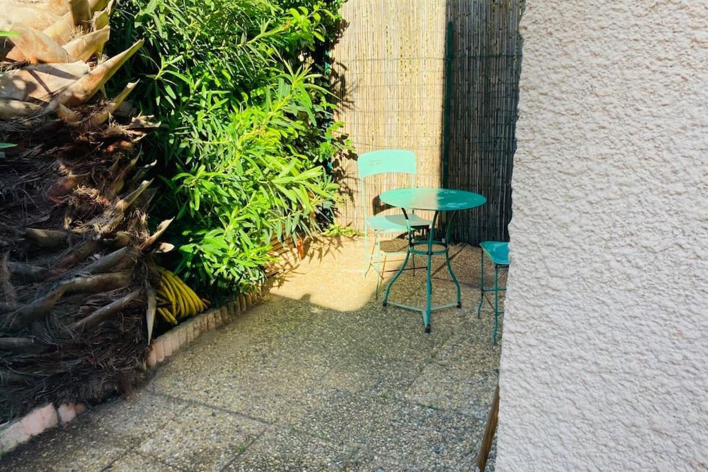 Residence Au Bord De L Etang De Thau マルセイヤン エクステリア 写真